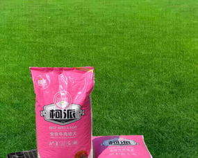 寵物食品產(chǎn)業(yè)鏈一站式解決方案 廠家直銷與代加工服務(wù)